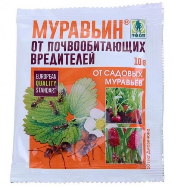 Борьба с садовыми муравьями препаратом Муравьин