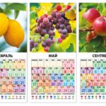 Лунный календарь огородника на июль 2020 года