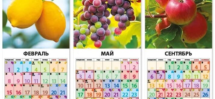 Лунный календарь огородника на июль 2020 года