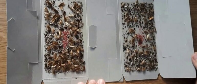 Виды отрав от тараканов